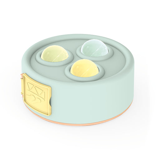 2во1 Тапан и Сортер на Форми